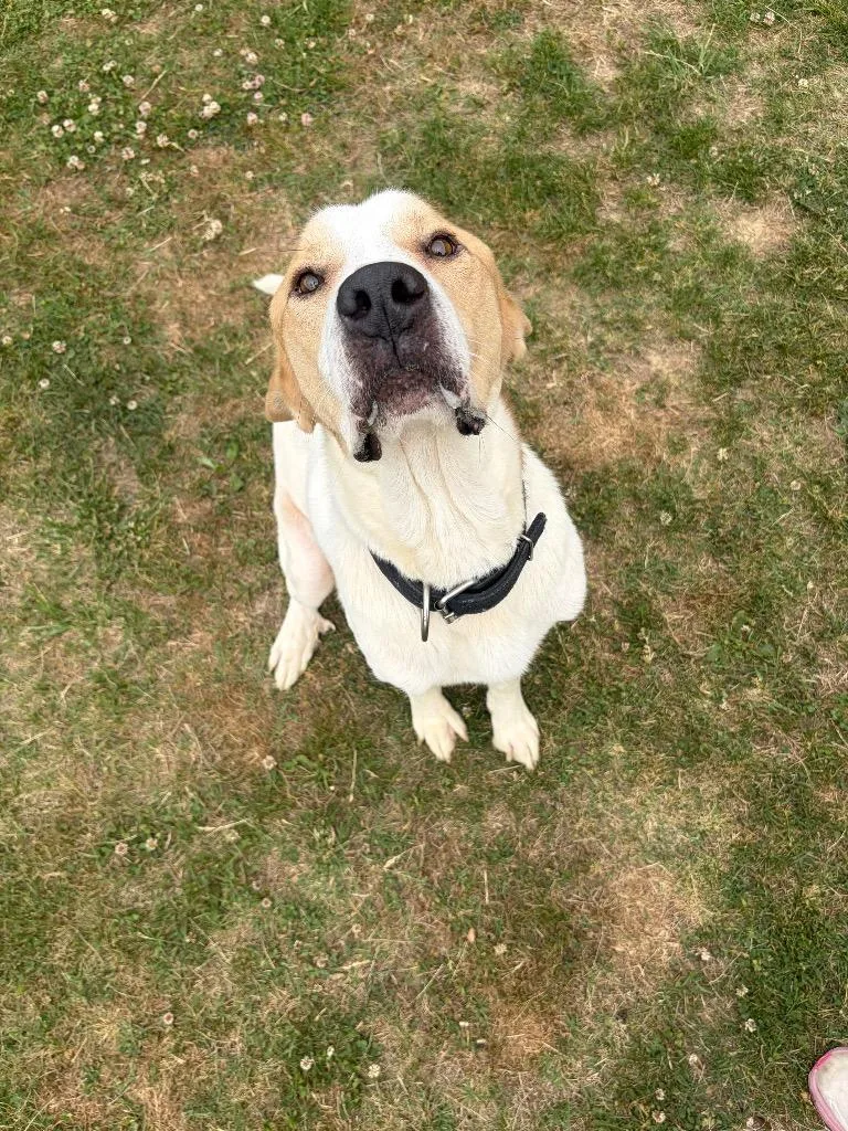 Winston