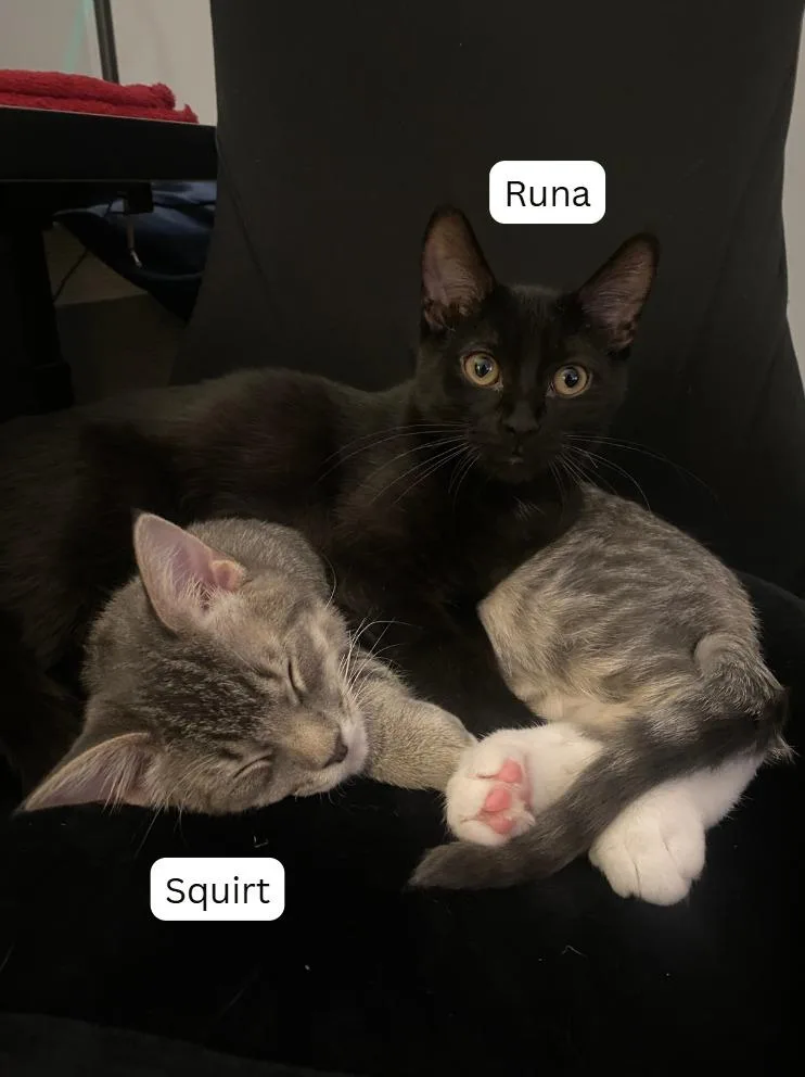 Squirt  Runa thumbnail 5