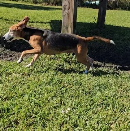 Ruby Tuesday thumbnail 2