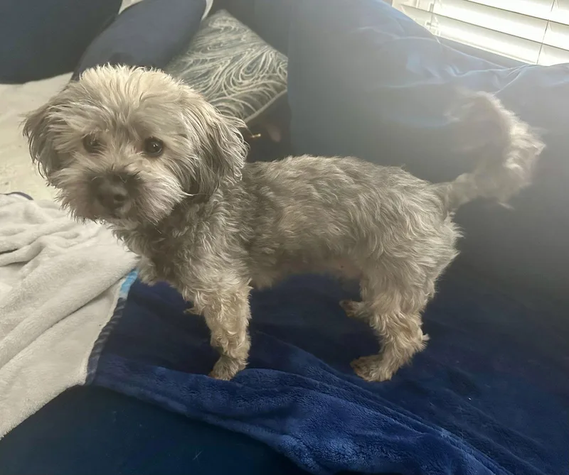 Jax In Nc thumbnail 2