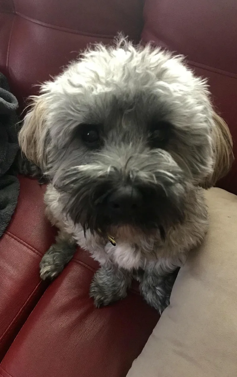 Jax In Nc thumbnail 3