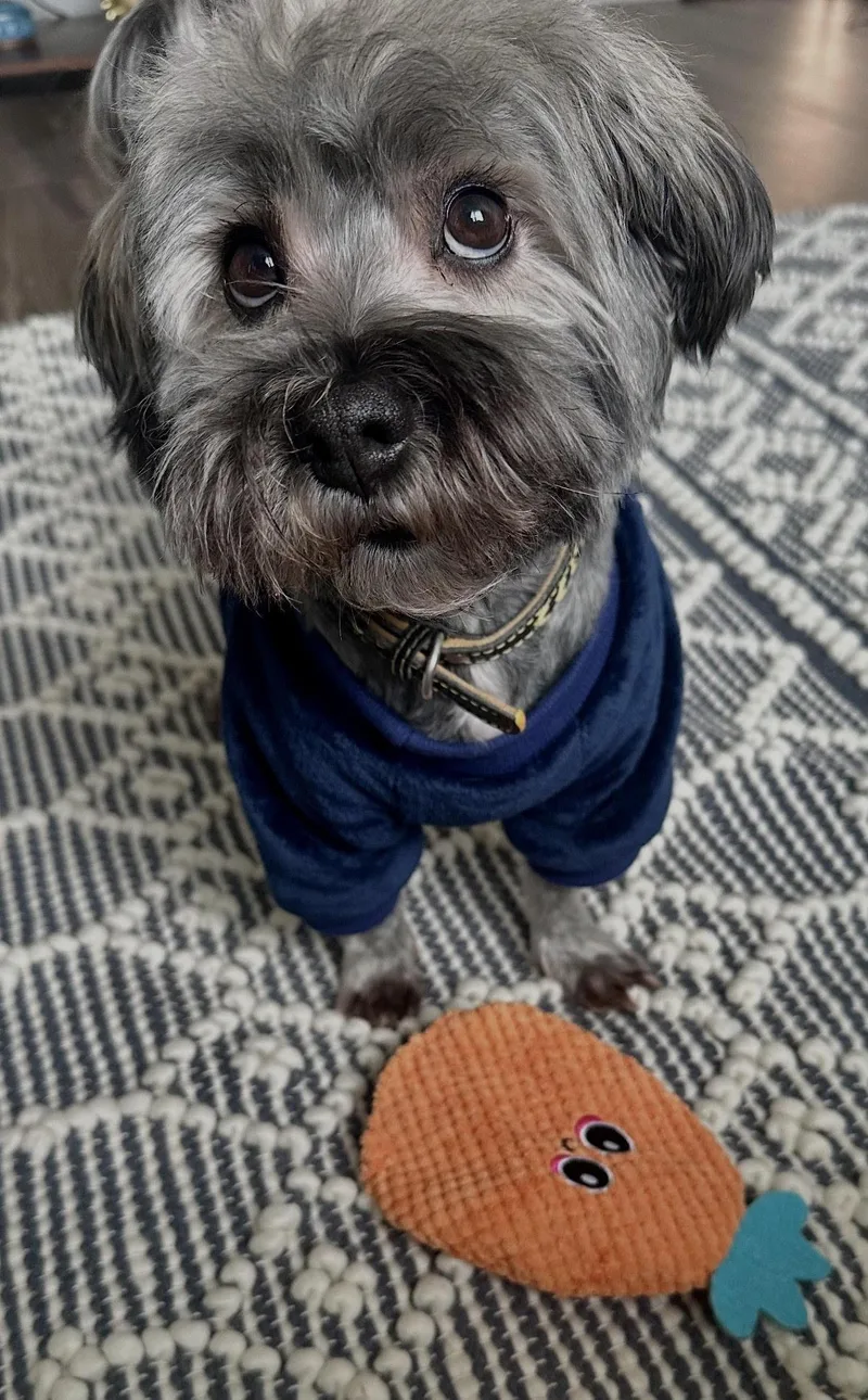 Jax In Nc thumbnail 4