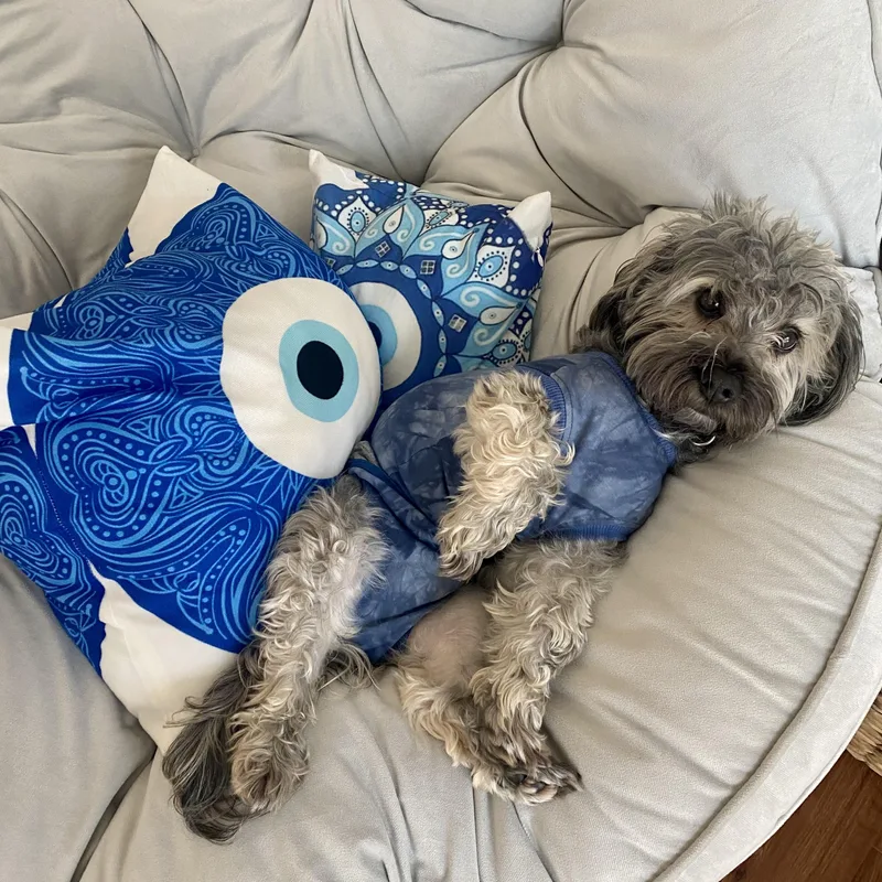 Jax In Nc thumbnail 5