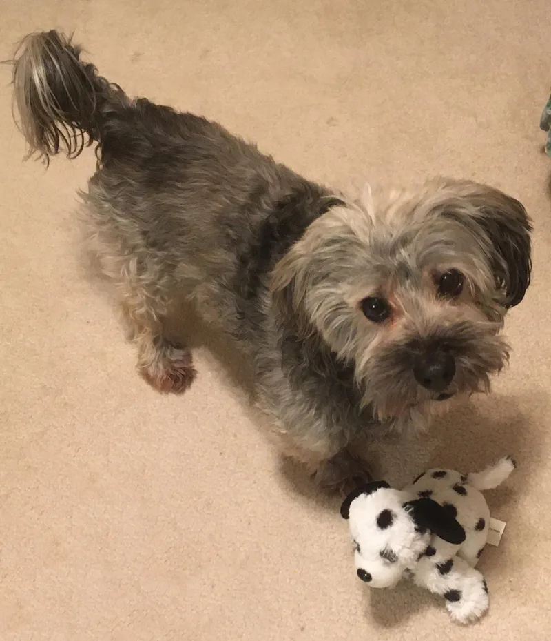 Jax In Nc thumbnail 6