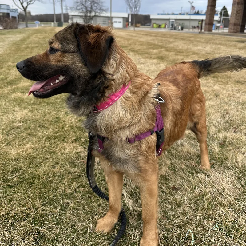 Remy Home Visit In thumbnail 2