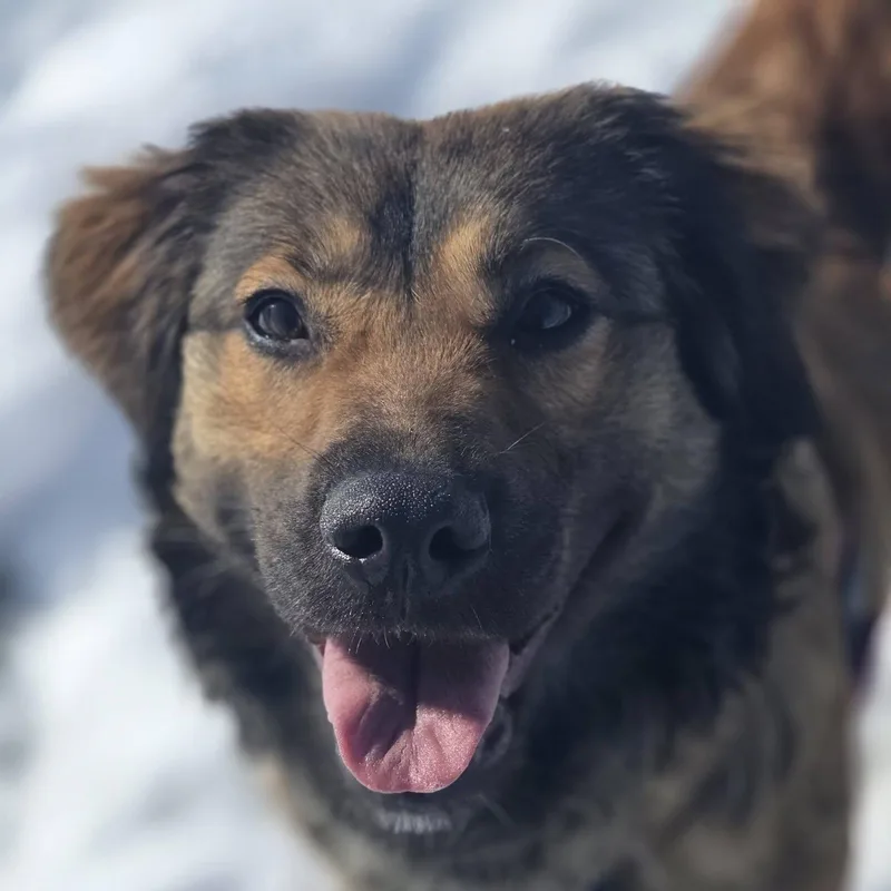 Remy Home Visit In thumbnail 5