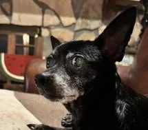 Rosalynn thumbnail 2