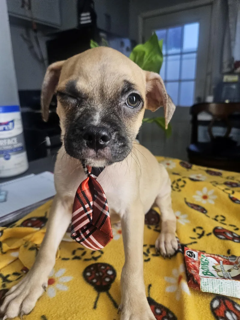 Benny