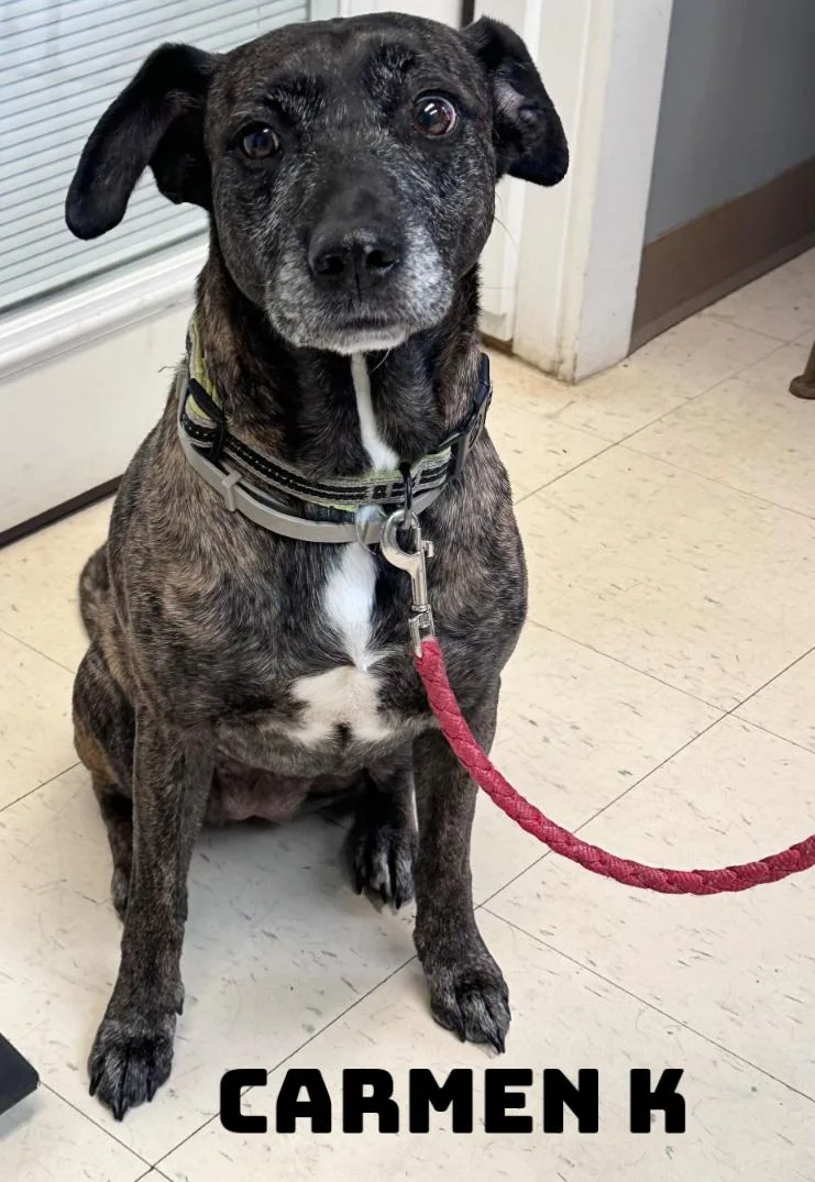 Carmen K