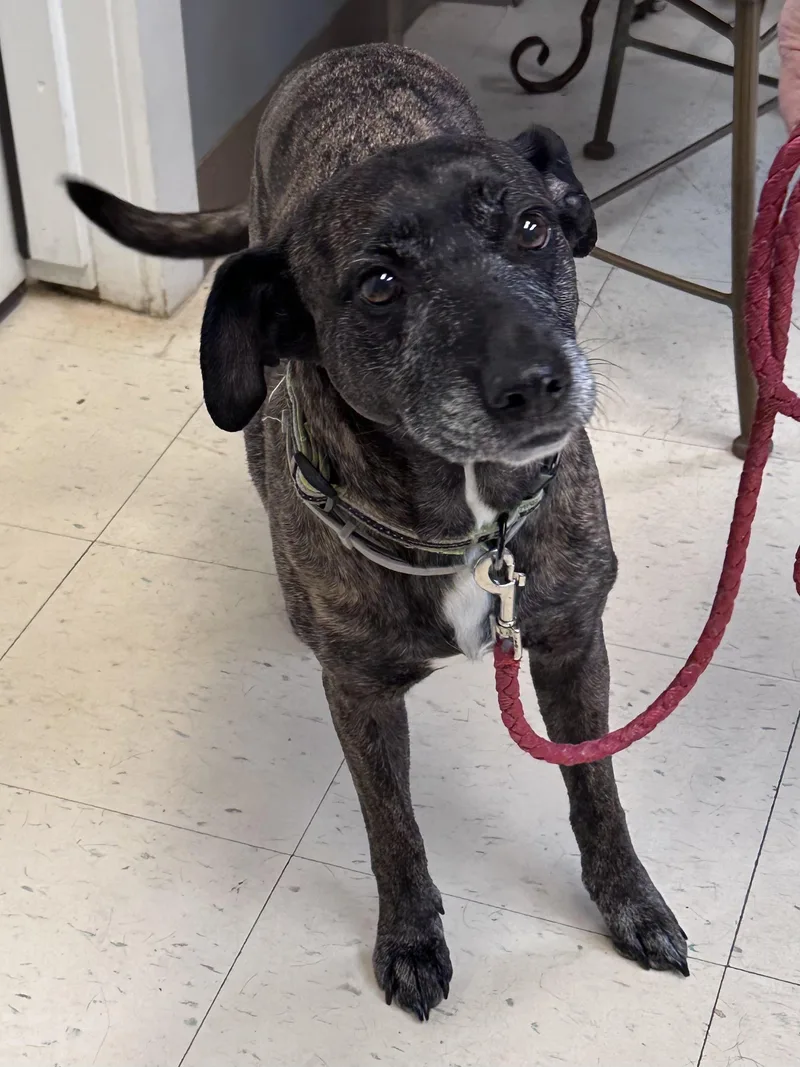 Carmen K thumbnail 2