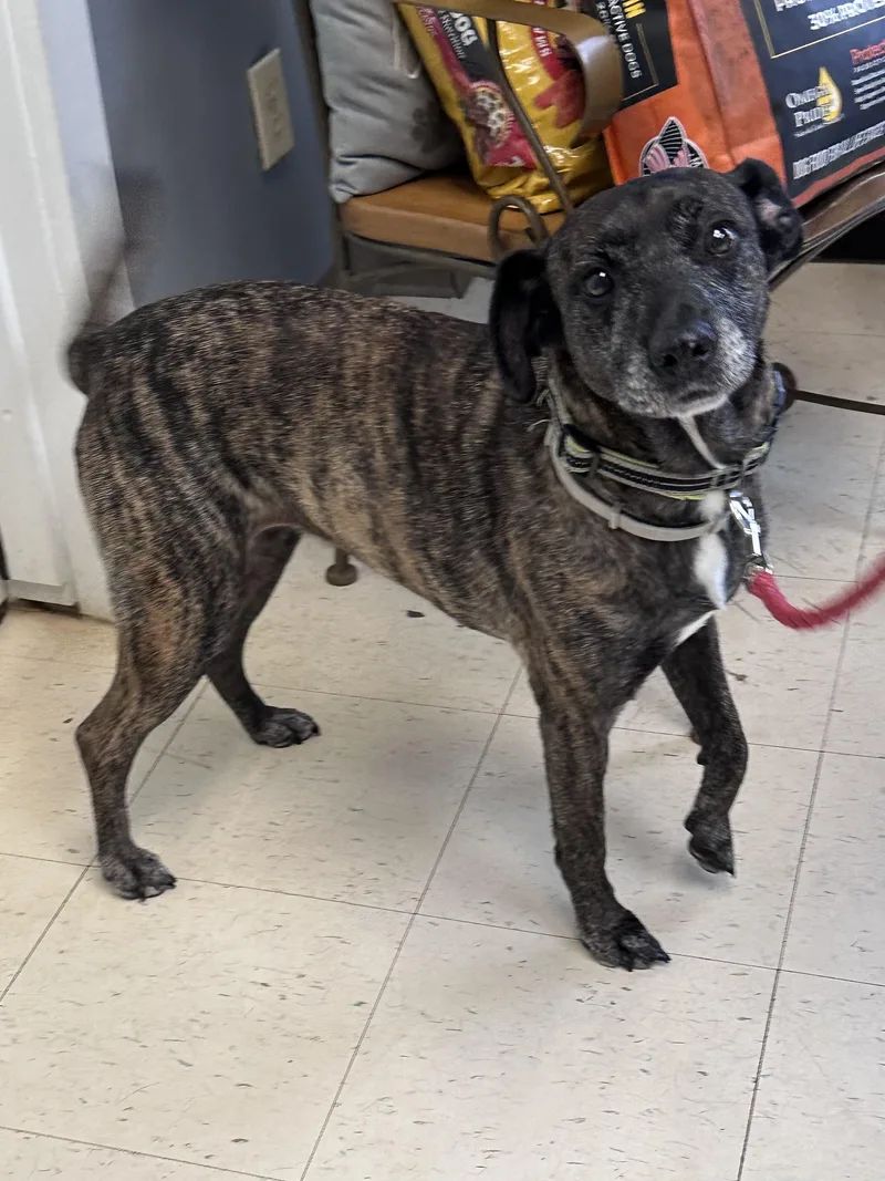 Carmen K thumbnail 3