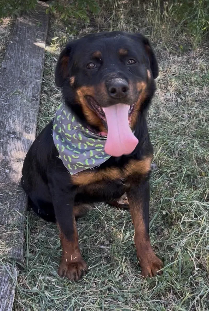 Sammy