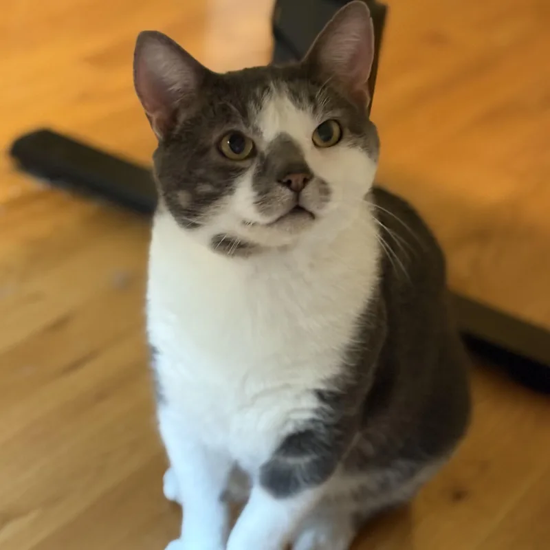 Skippy thumbnail 4