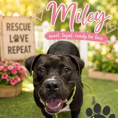 Miley thumbnail 3
