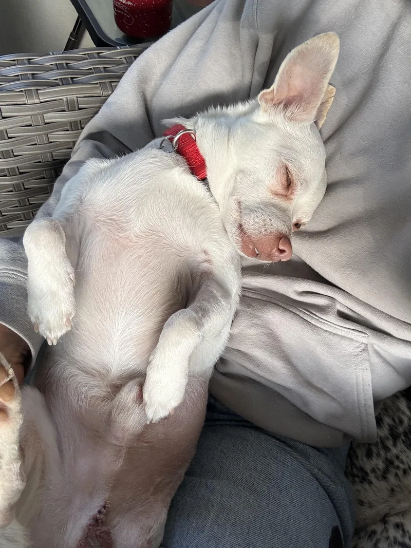 Polaroid thumbnail 2