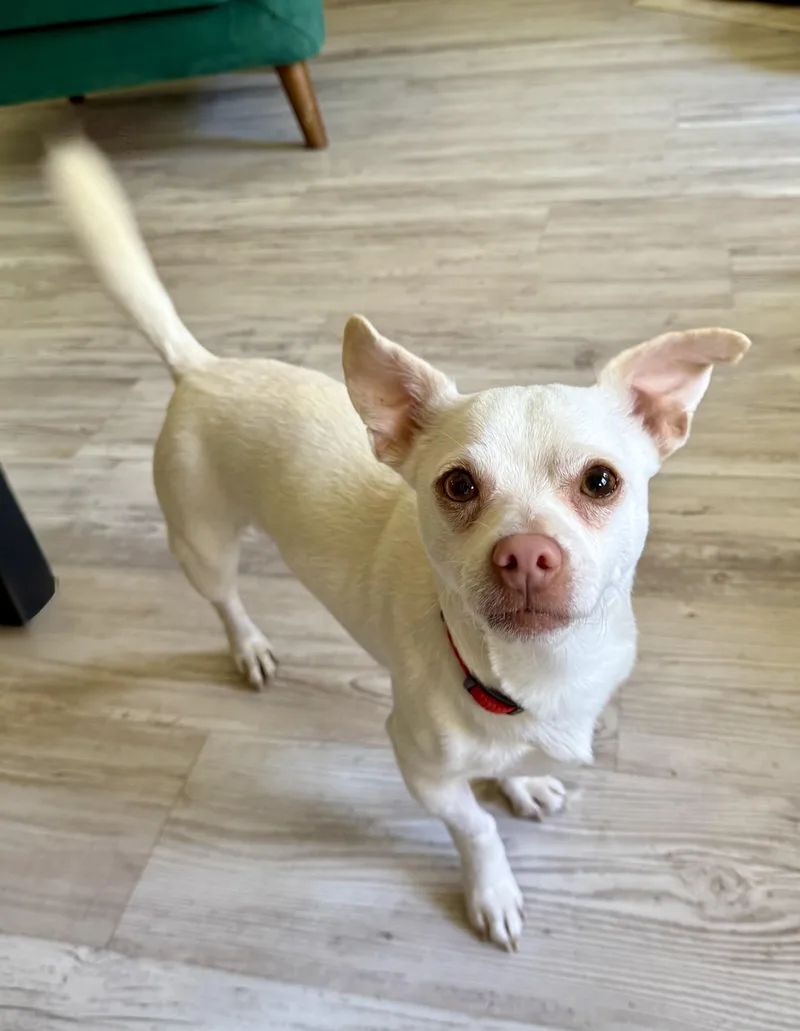 Polaroid thumbnail 3