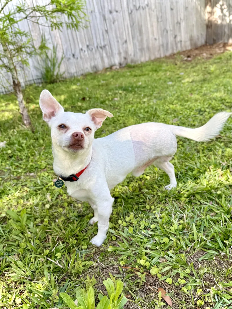 Polaroid thumbnail 4