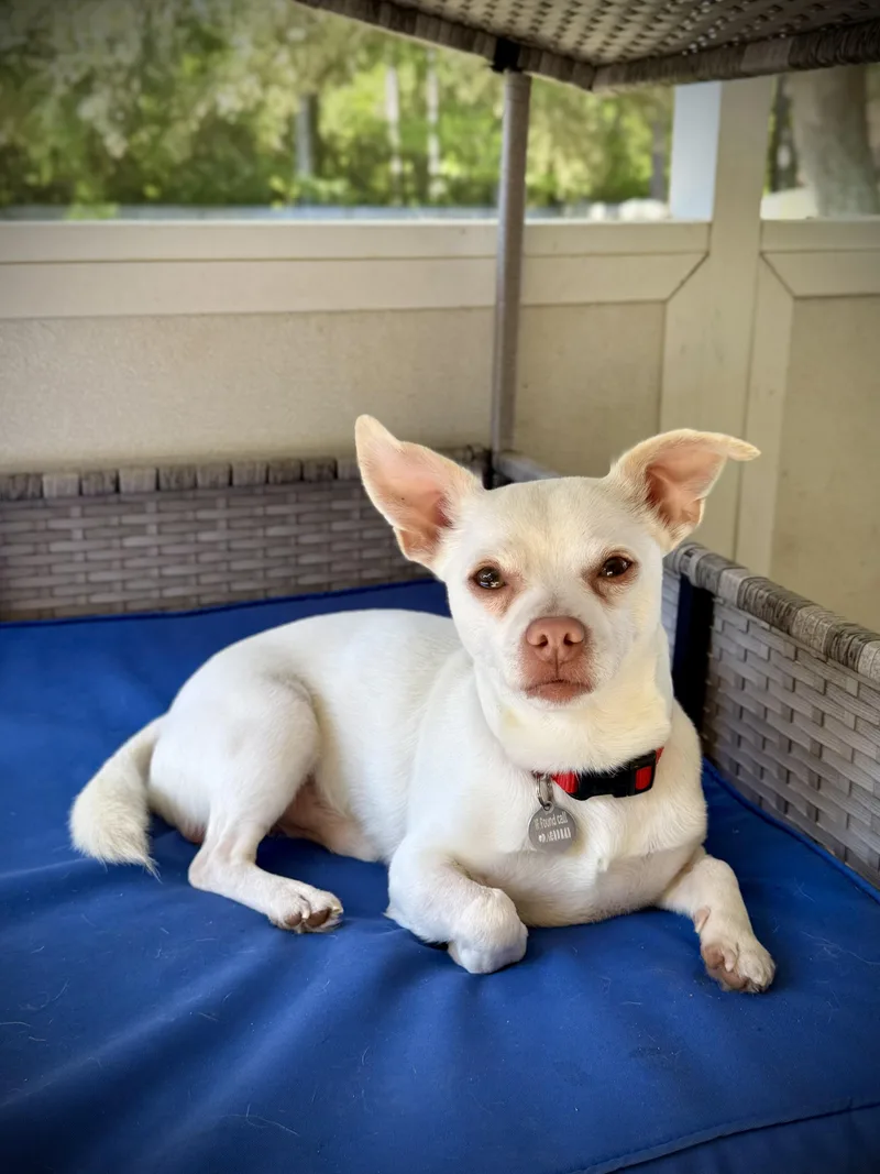 Polaroid thumbnail 5