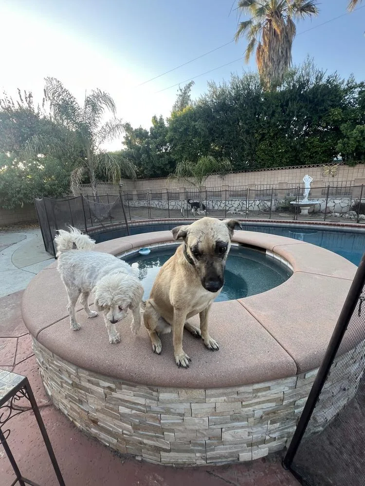 Nala thumbnail 3