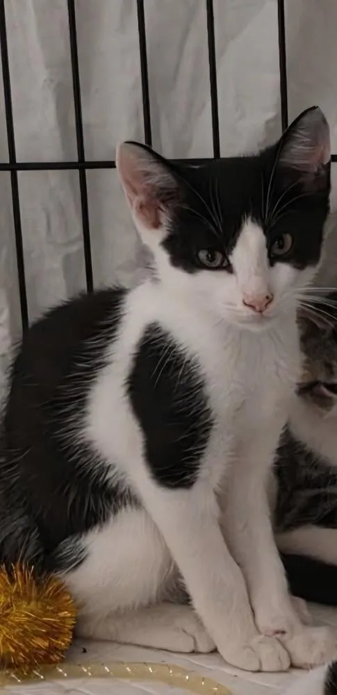 Tucker thumbnail 2