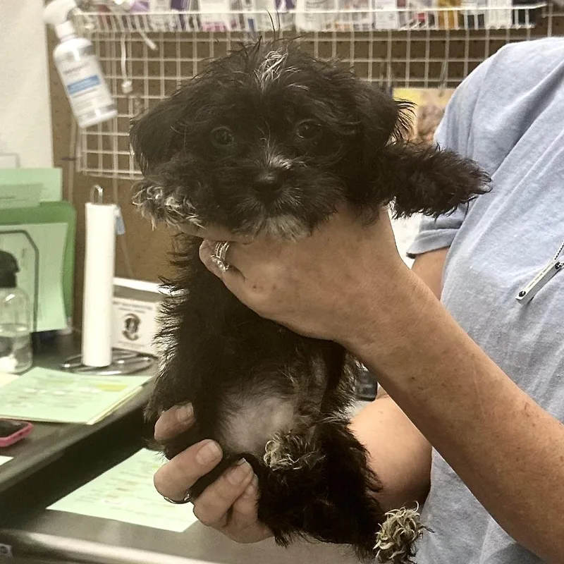 Baby Walter thumbnail 4