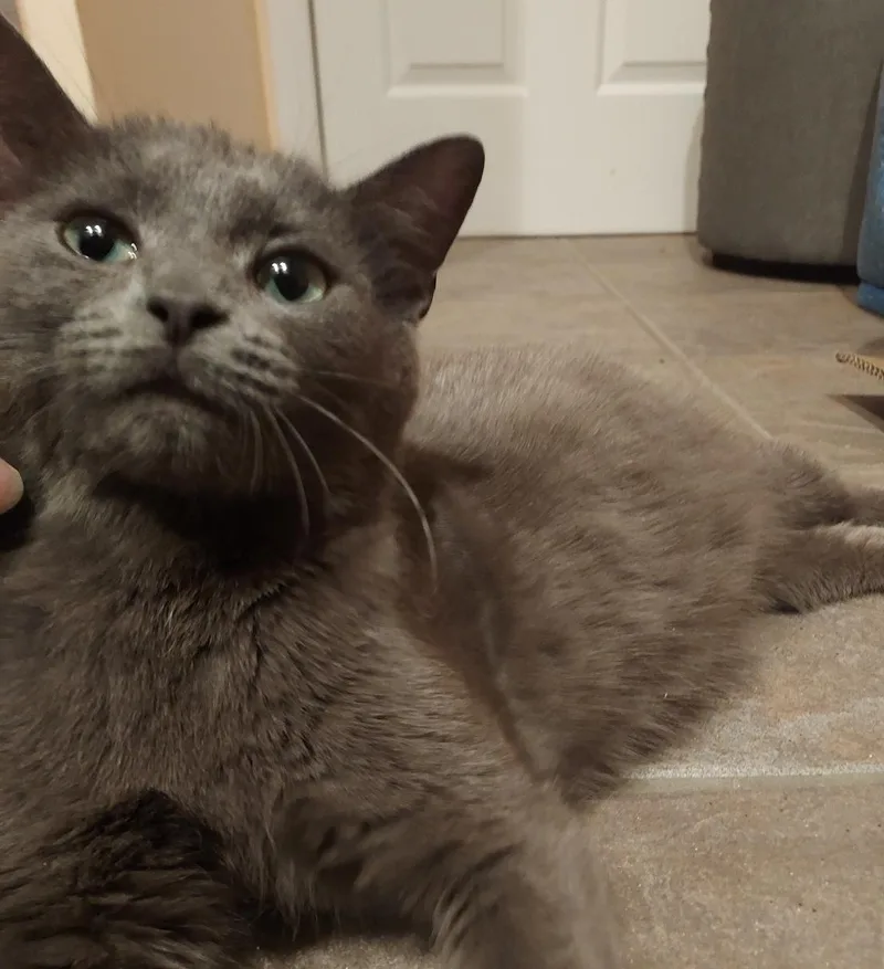 Loretta thumbnail 6