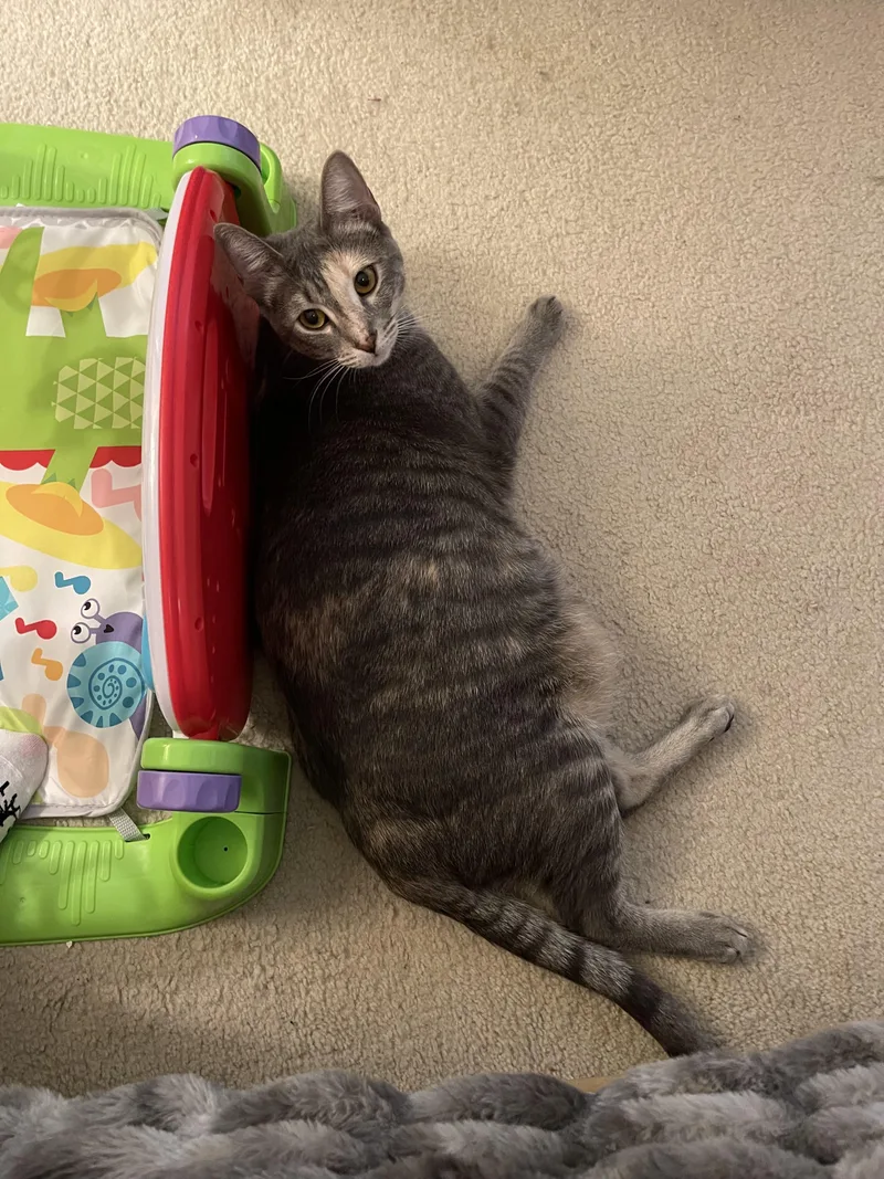 Mama Honeylourdes thumbnail 2