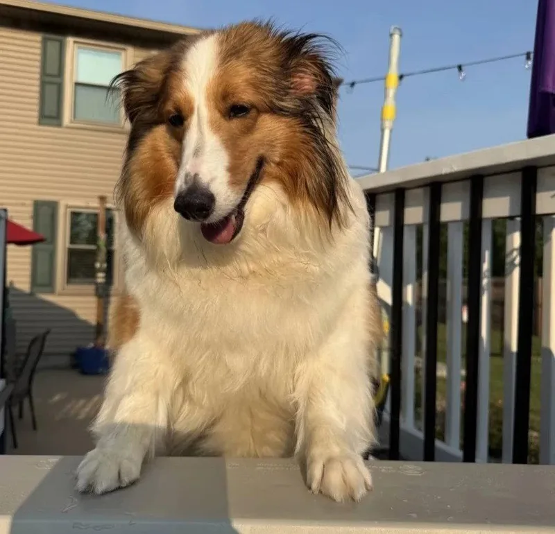 Sadie Grace thumbnail 2