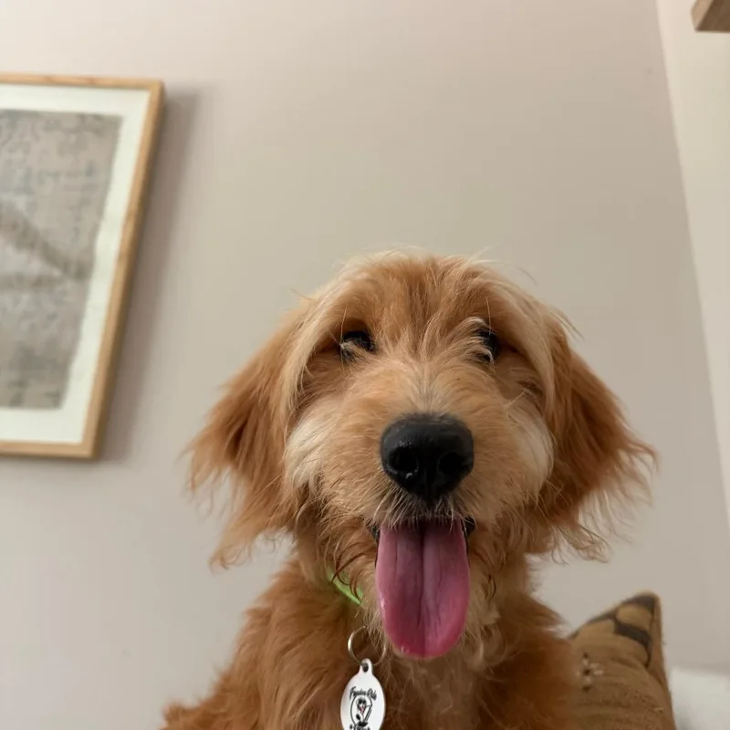 Della