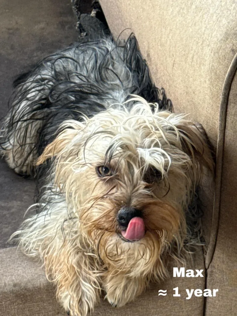 Max