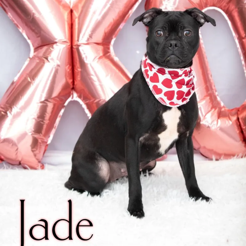 Jade thumbnail 3