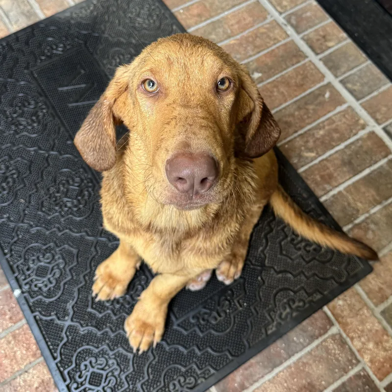 Harrison thumbnail 2