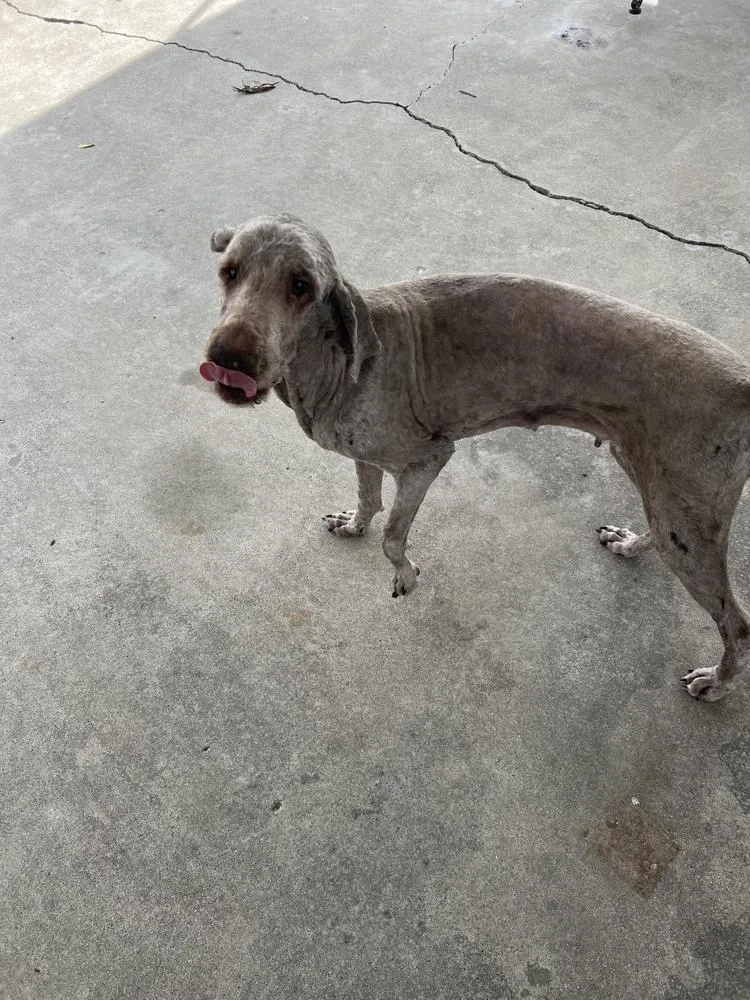 Cd : Avery thumbnail 2