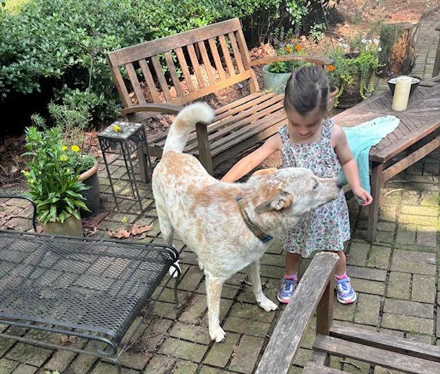 Levi Ahoy thumbnail 3