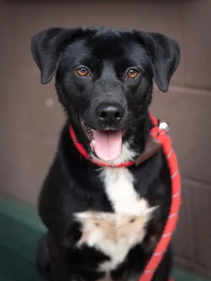 Violette thumbnail 2