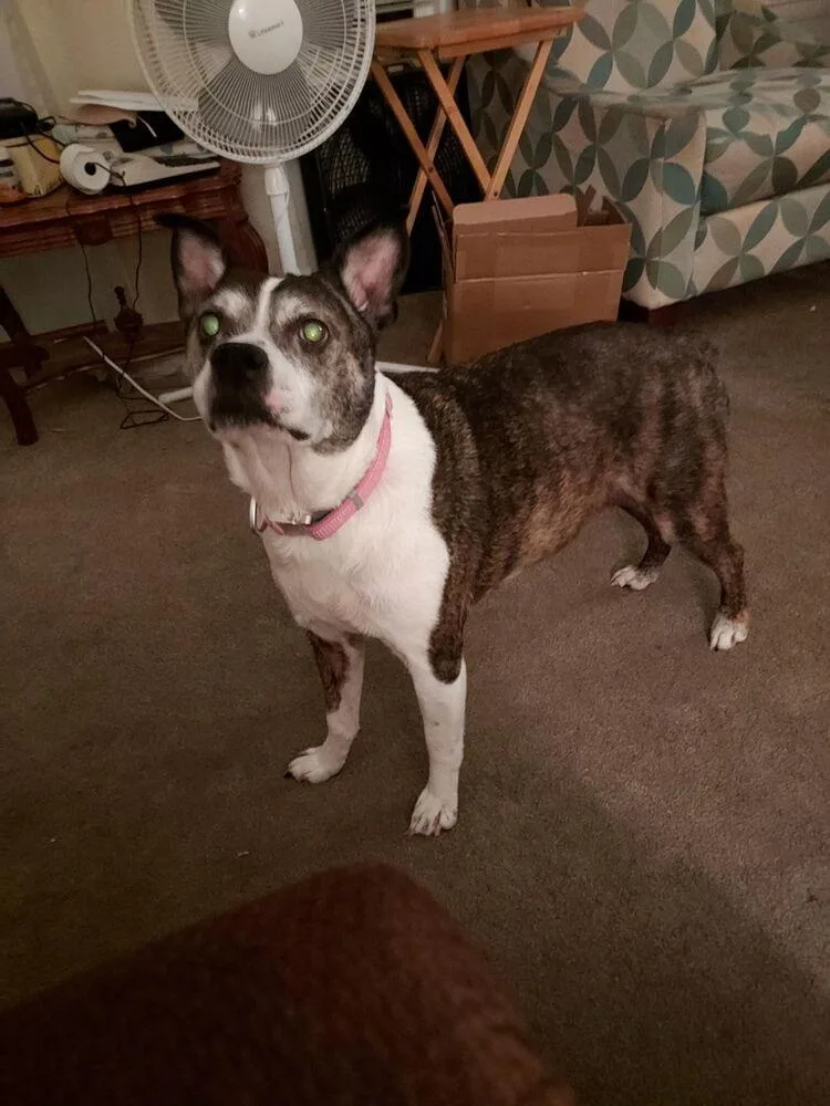 Rocky Wisdom Crossville  thumbnail 2