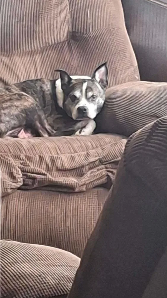 Rocky Wisdom Crossville  thumbnail 3