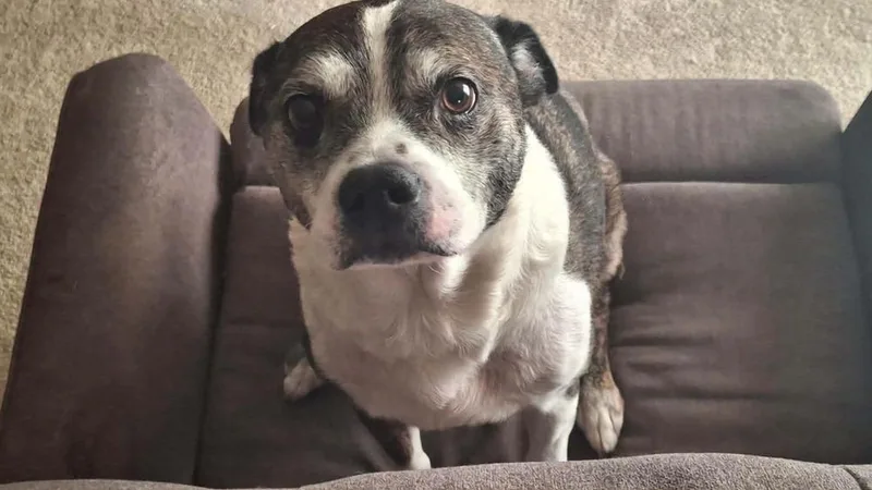 Rocky Wisdom Crossville  thumbnail 4