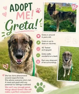 Greta thumbnail 5