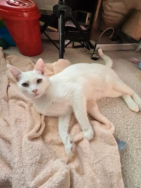 Elton & Benny thumbnail 2