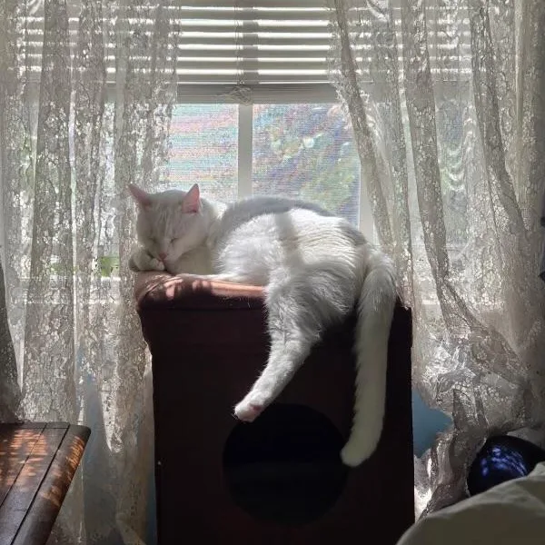 Elton & Benny thumbnail 4