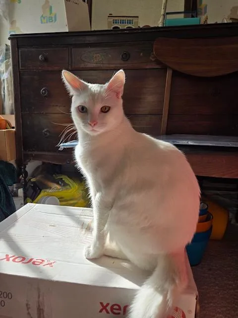 Elton & Benny thumbnail 6