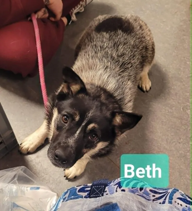 Beth