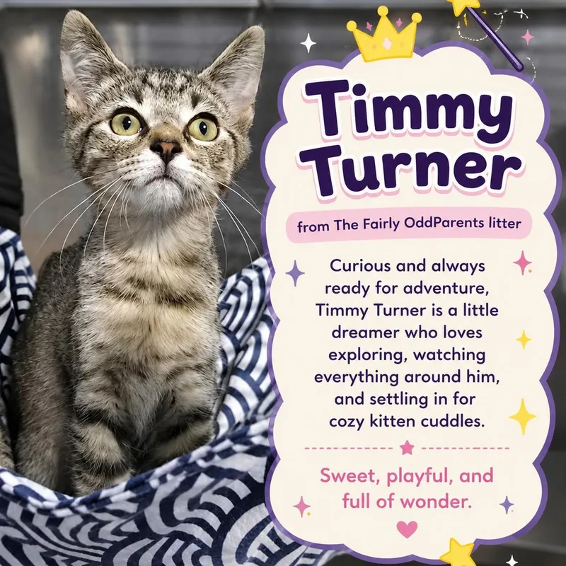 Timmy thumbnail 2