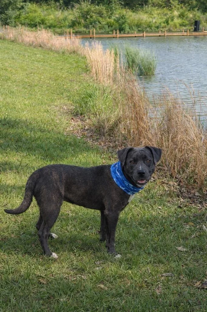 Riley Green thumbnail 2