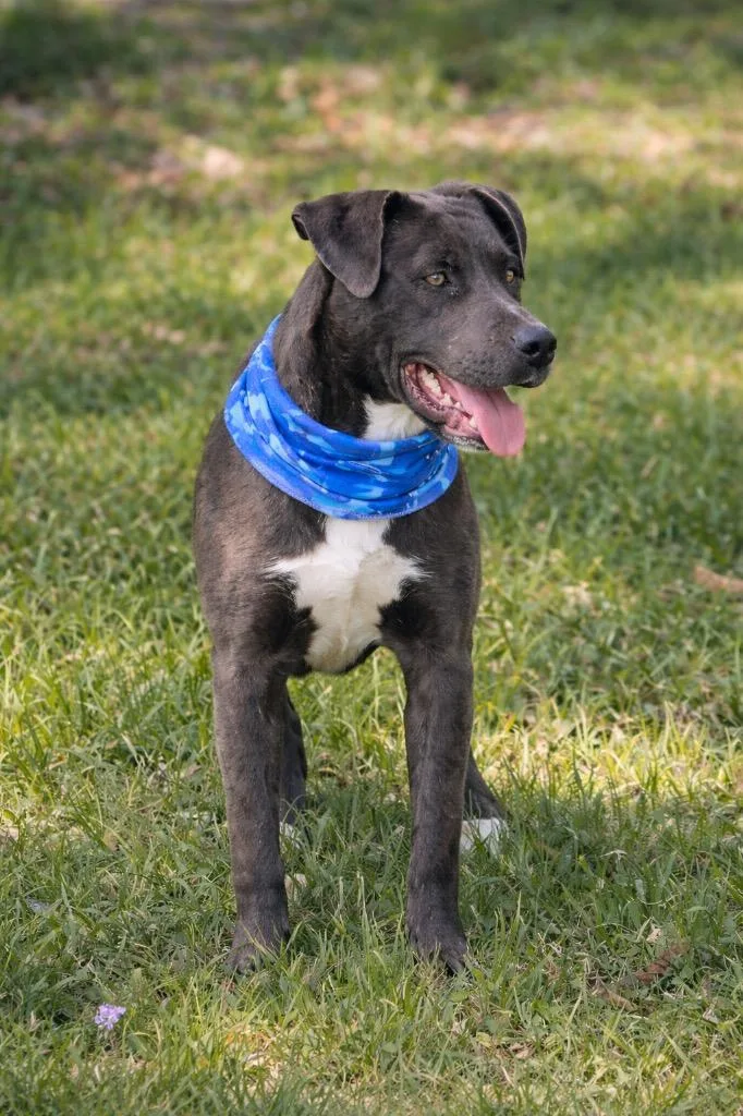 Riley Green thumbnail 3