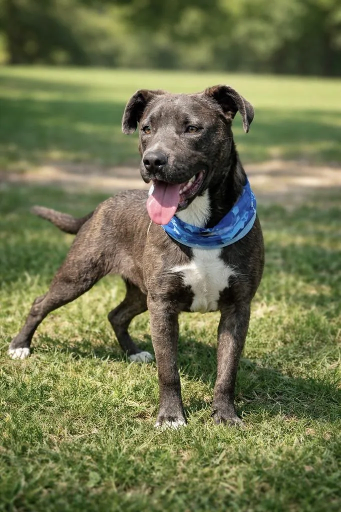 Riley Green thumbnail 4