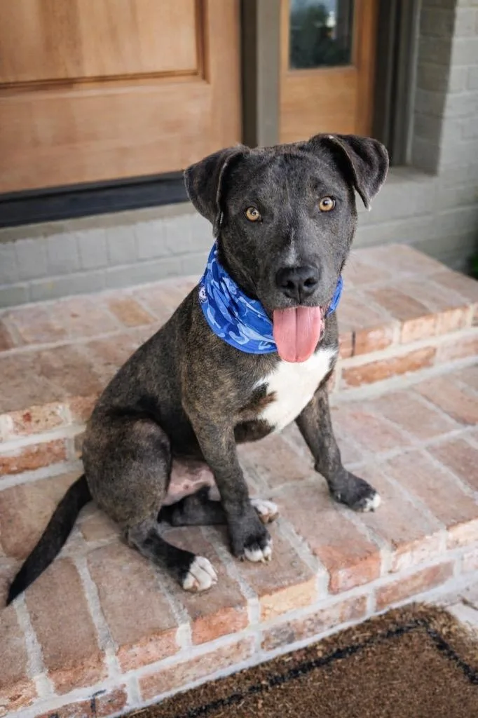 Riley Green thumbnail 5