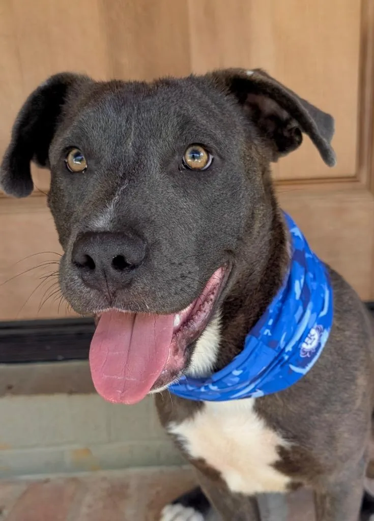 Riley Green thumbnail 6