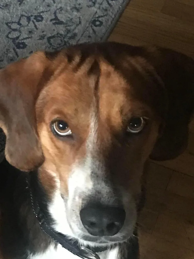 Murphy thumbnail 2